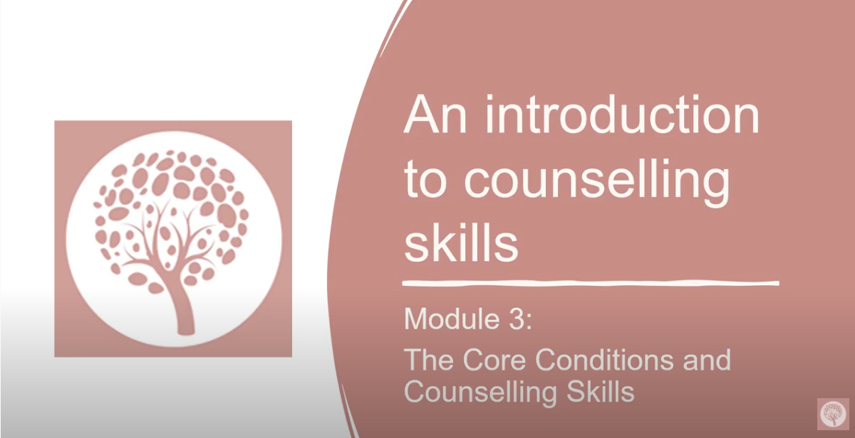 The Core Conditions and Counselling Skills image